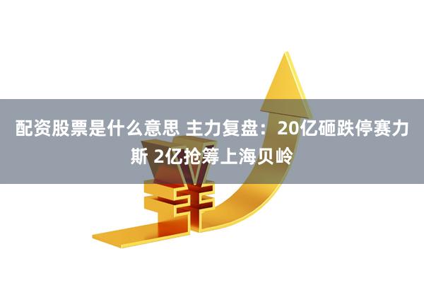 配资股票是什么意思 主力复盘：20亿砸跌停赛力斯 2亿抢筹上海贝岭